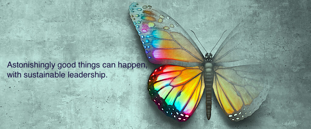 ConceptOfHopeAndPositiveFeelingsAndOptimisticEmotionsAs Coachvirtus