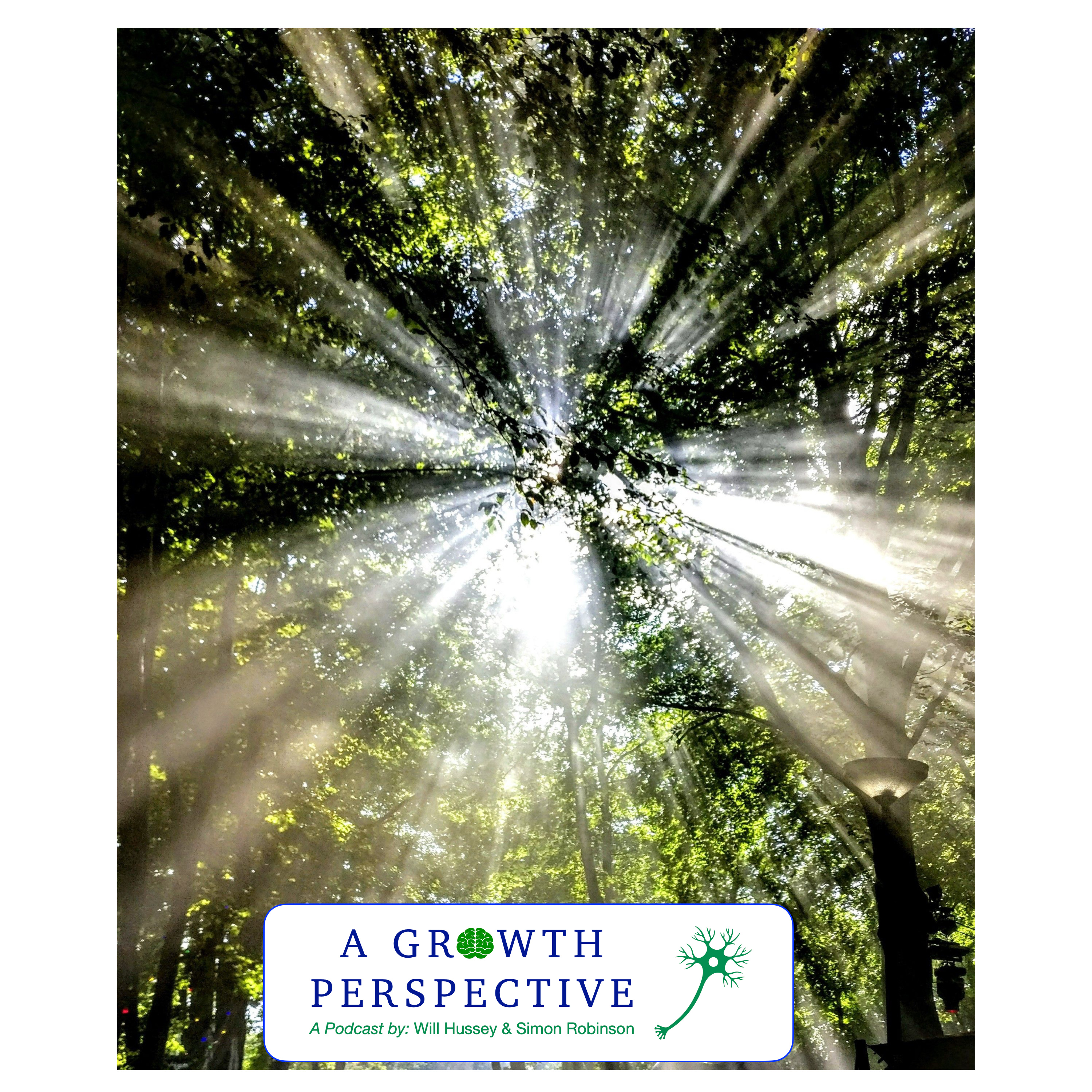 Light breakthrough treeswith caption logo Coachvirtus