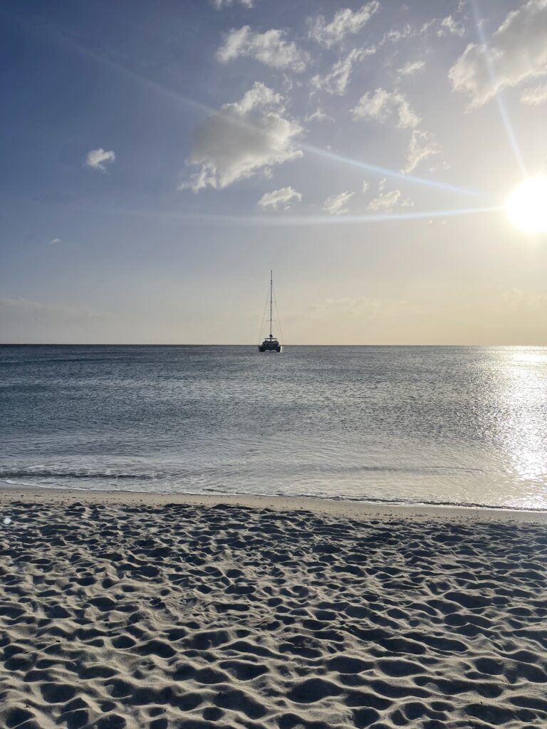 IMG2198 Coachvirtus